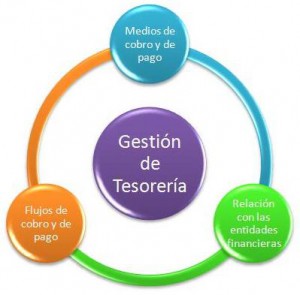 gestion_tesoreria_ciclo